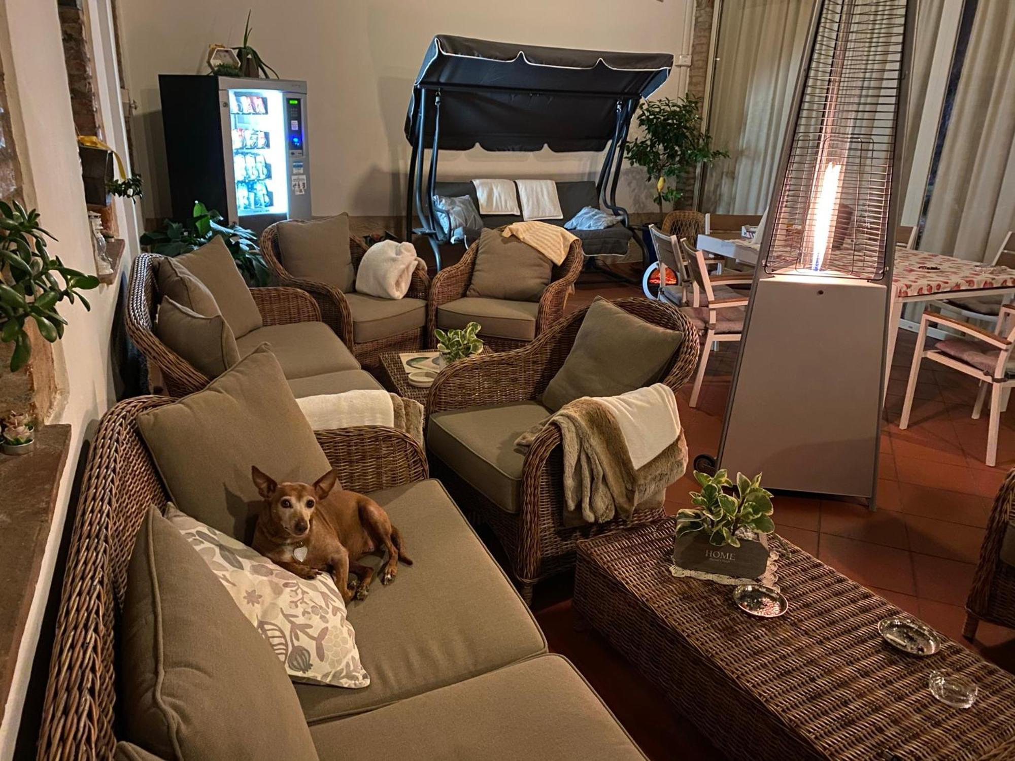 B&B Corte Delle Rose Castiglione Delle Stiviere Ngoại thất bức ảnh